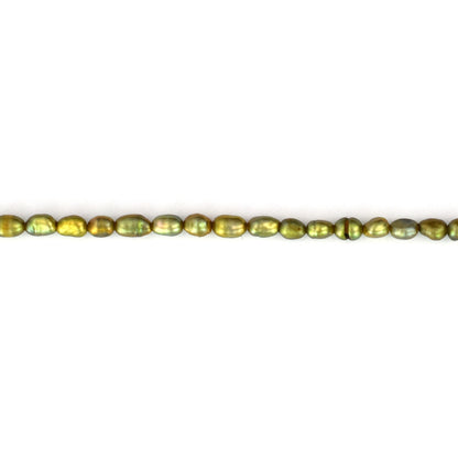 CP1001-P12 Greengold Pearl