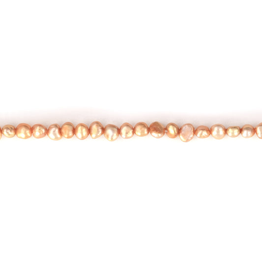 CP1024-P16 Apricot Pearl
